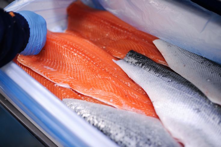 The Role of Spiral Freezers in Seafood Processing