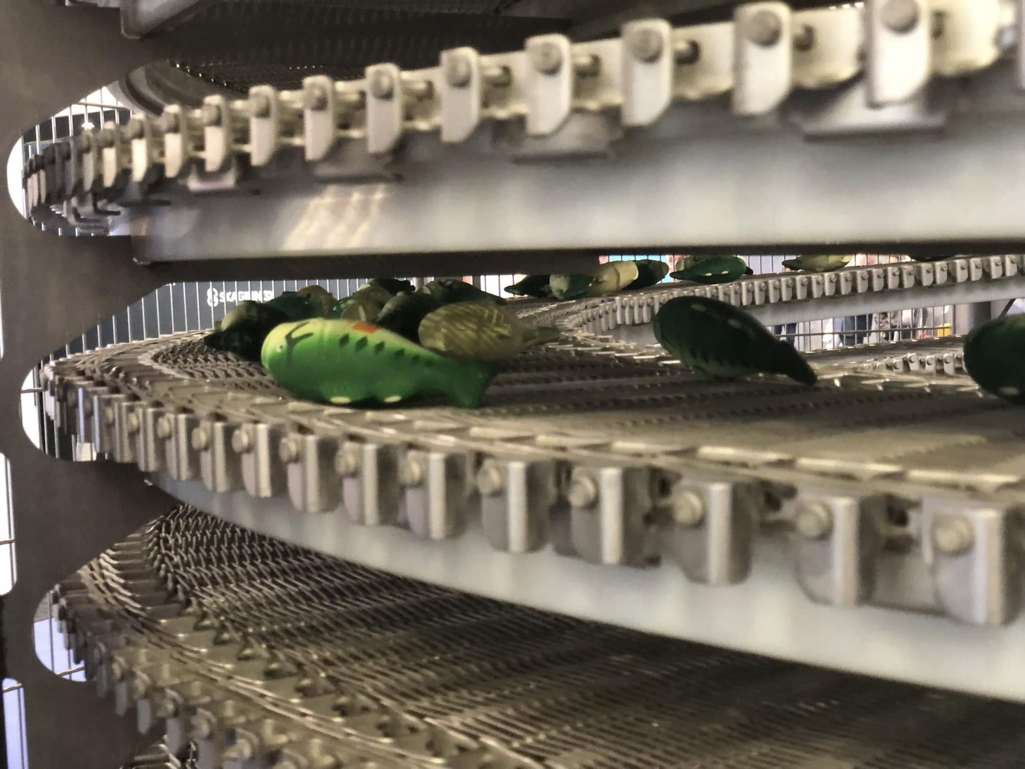 Vegetable Processing Equipment for Frozen Foods