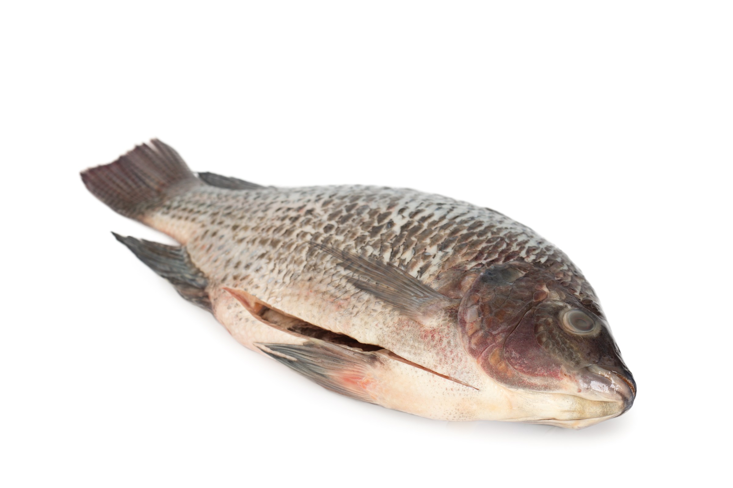 Gutted fish